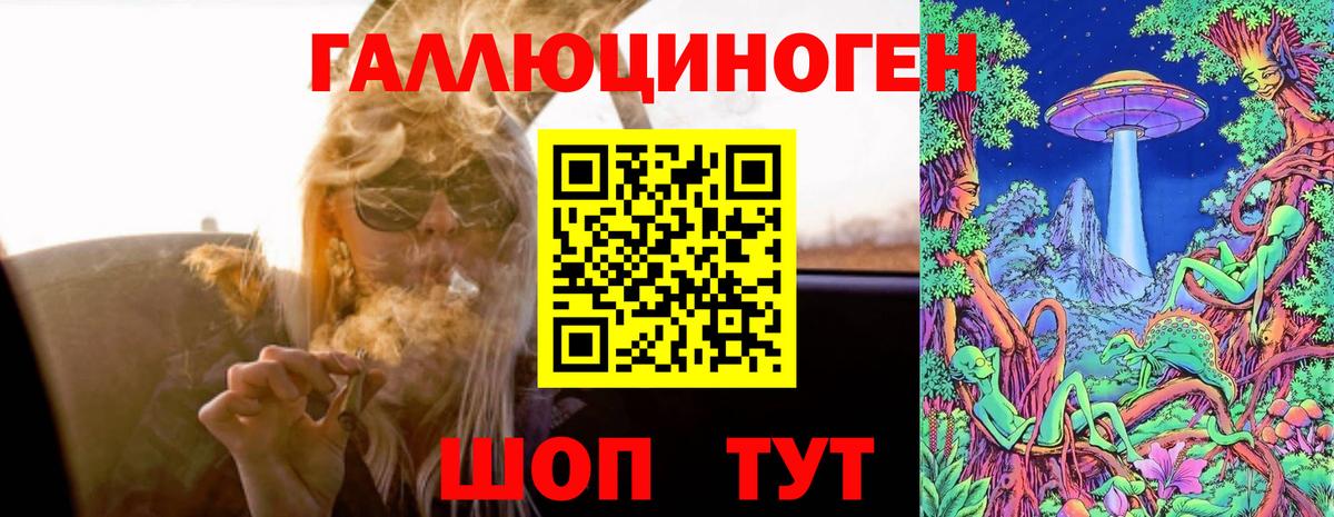 Псилоцибиновые грибы GOLDEN TEACHER Корсаков