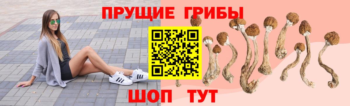 Псилоцибиновые грибы мицелий  Псилоцибиновые грибы Cubensis  Корсаков  Вход с VPN 